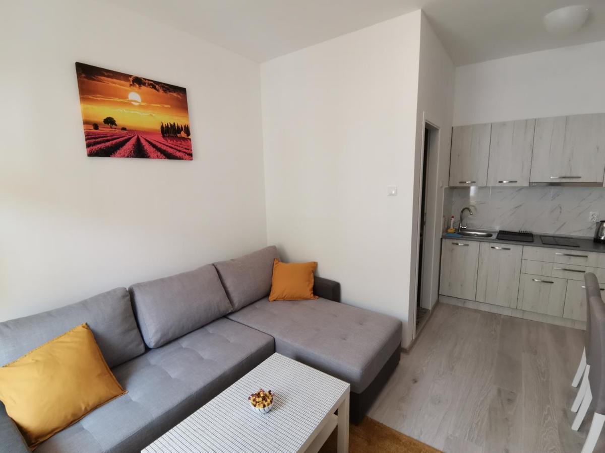 Ris Central Apartments Novi Sad Esterno foto