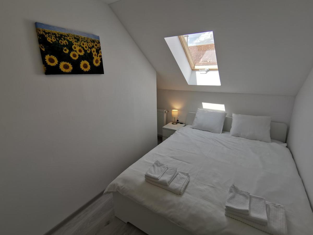 Ris Central Apartments Novi Sad Esterno foto